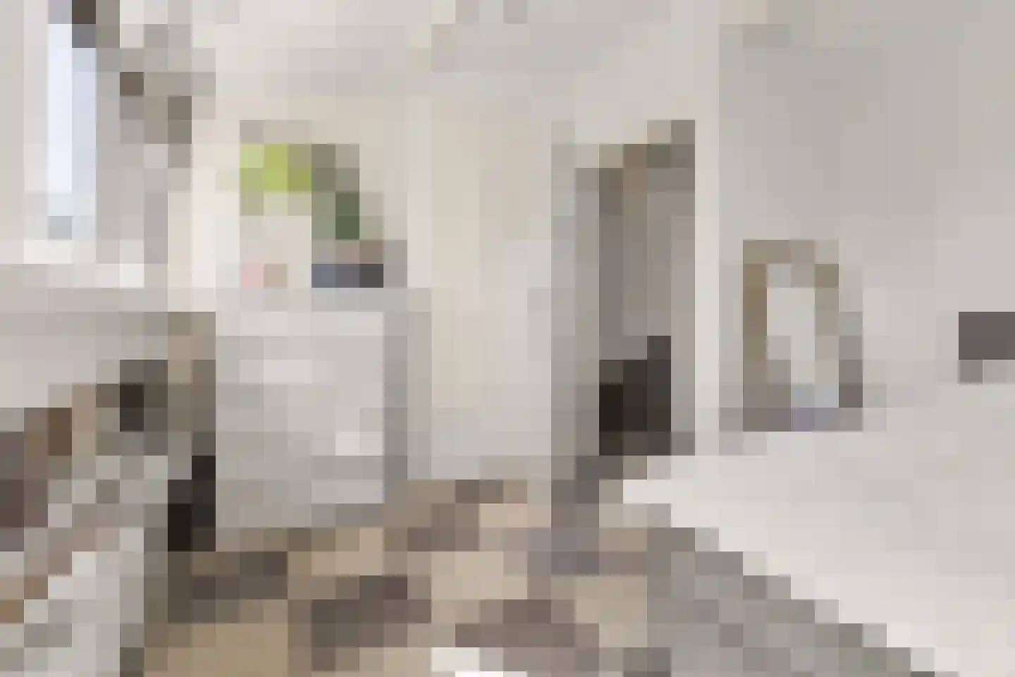 Mispelgaarde 3 Houten thumbnail 32