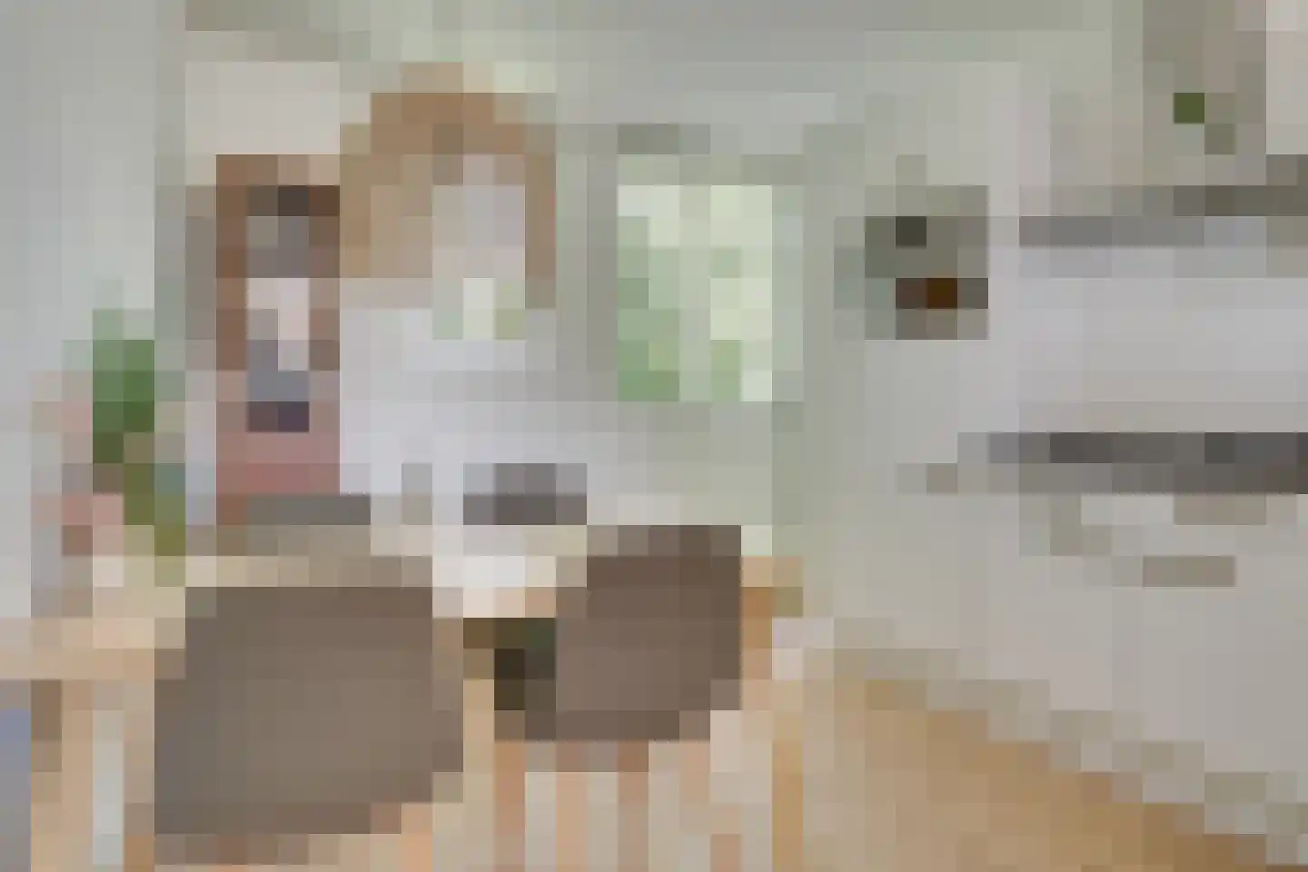Mispelgaarde 32 Nieuwegein thumbnail 12