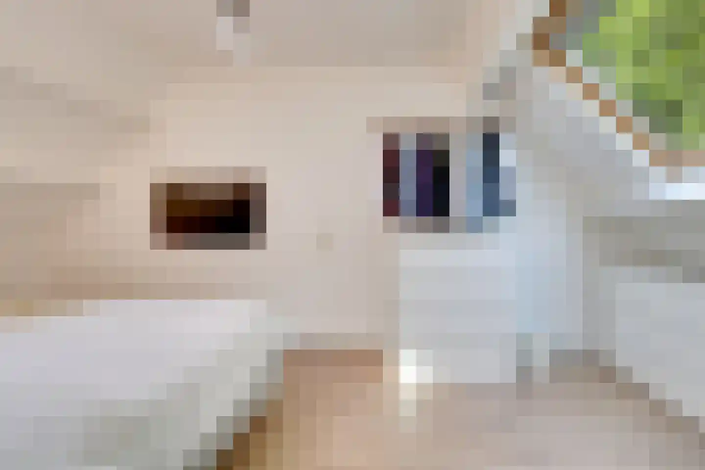 Mispelgaarde 32 Nieuwegein thumbnail 18
