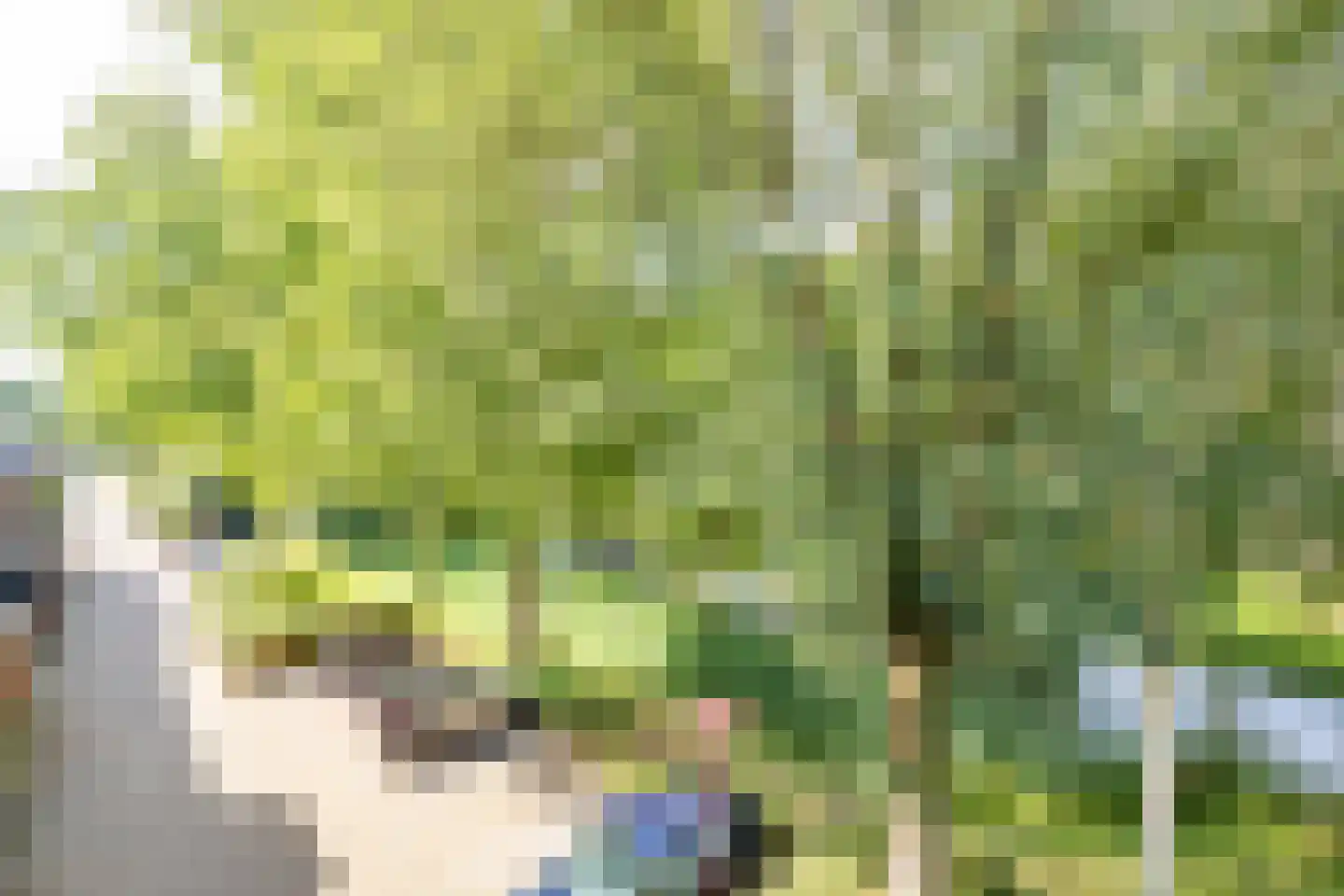 Mispelgaarde 32 Nieuwegein thumbnail 28
