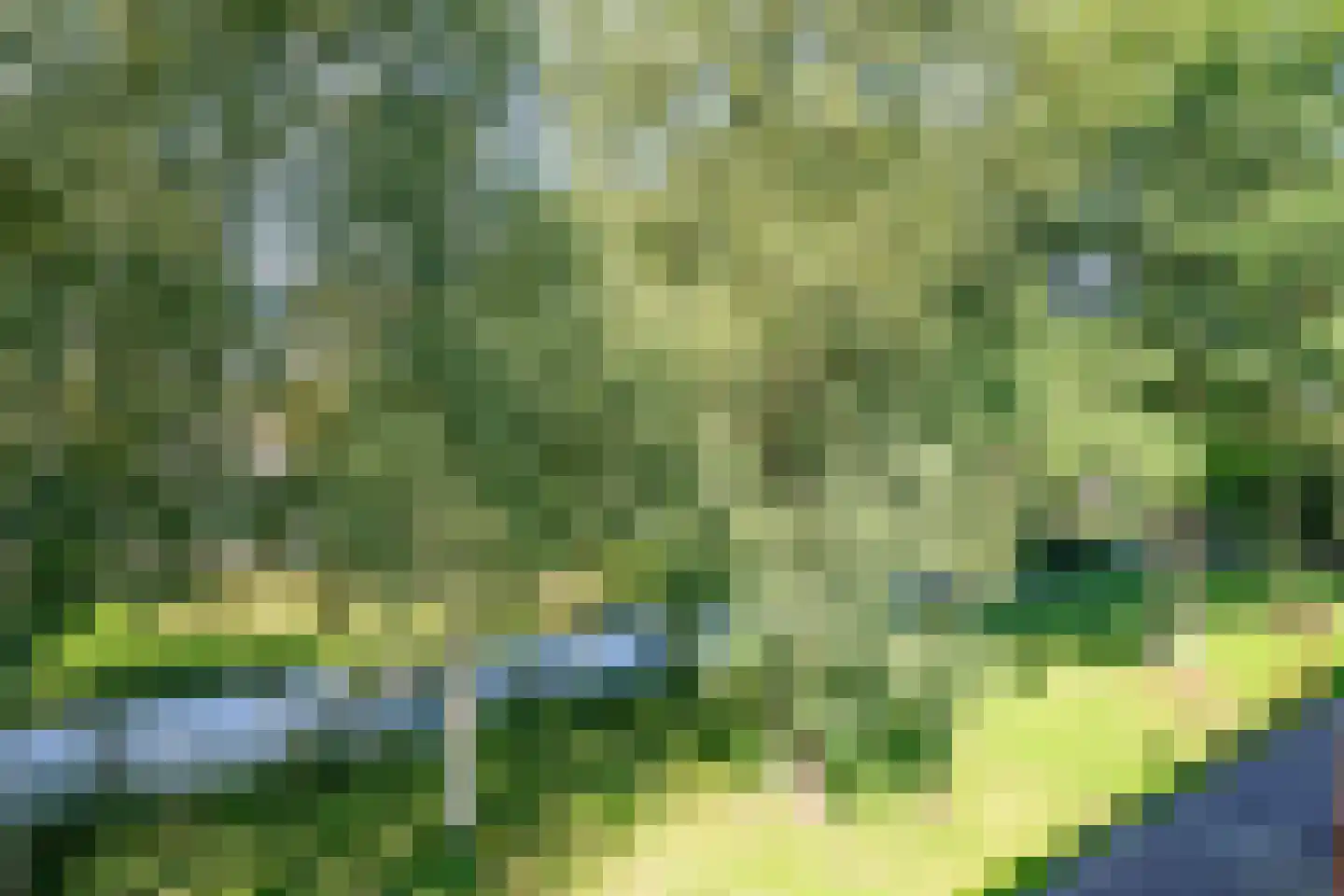 Mispelgaarde 32 Nieuwegein thumbnail 29