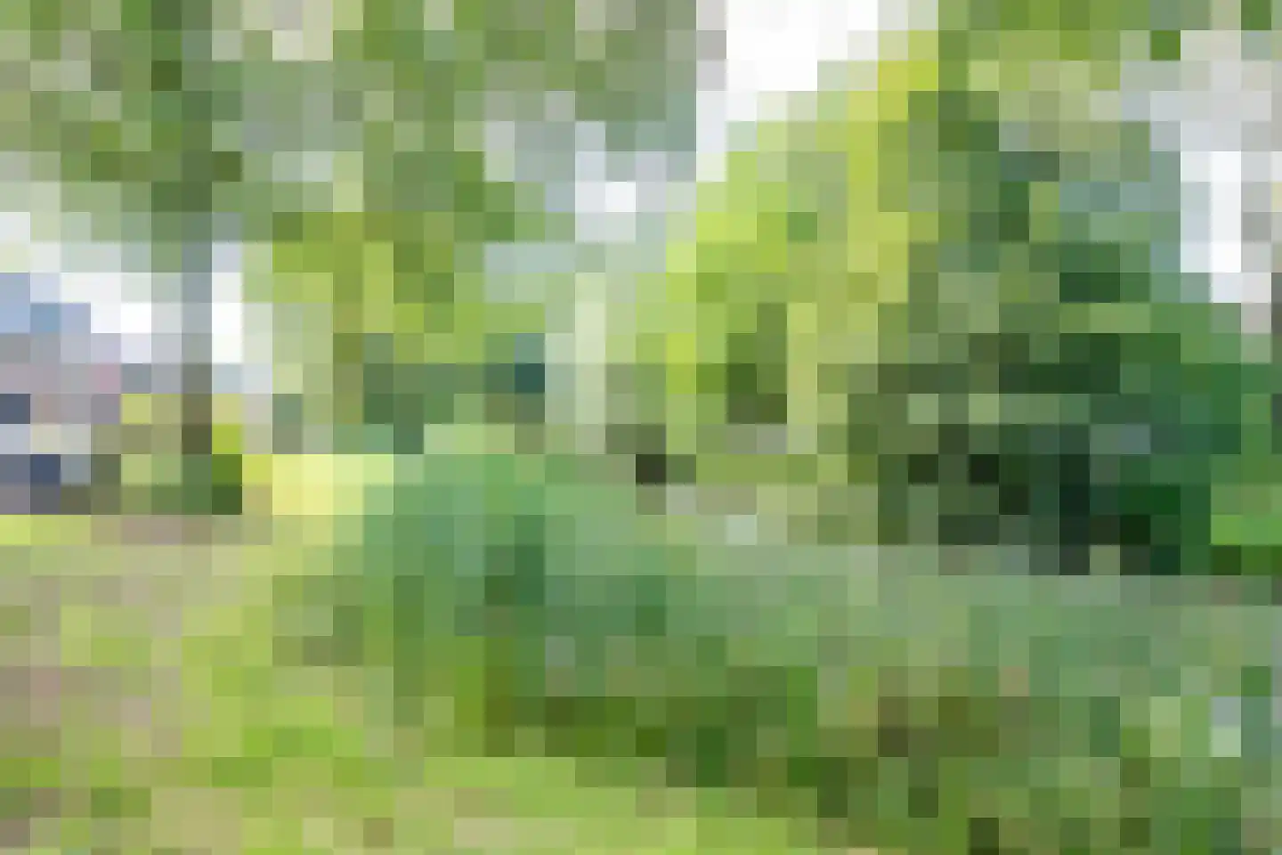 Mispelgaarde 32 Nieuwegein thumbnail 30