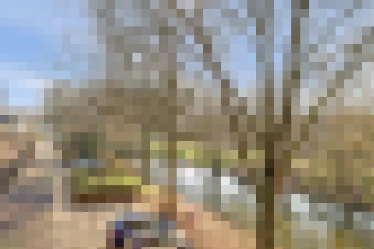 Mispelgaarde 33 Nieuwegein thumbnail 36