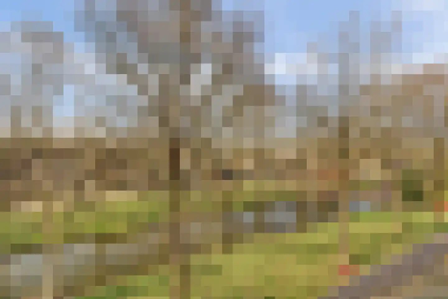 Mispelgaarde 33 Nieuwegein thumbnail 37