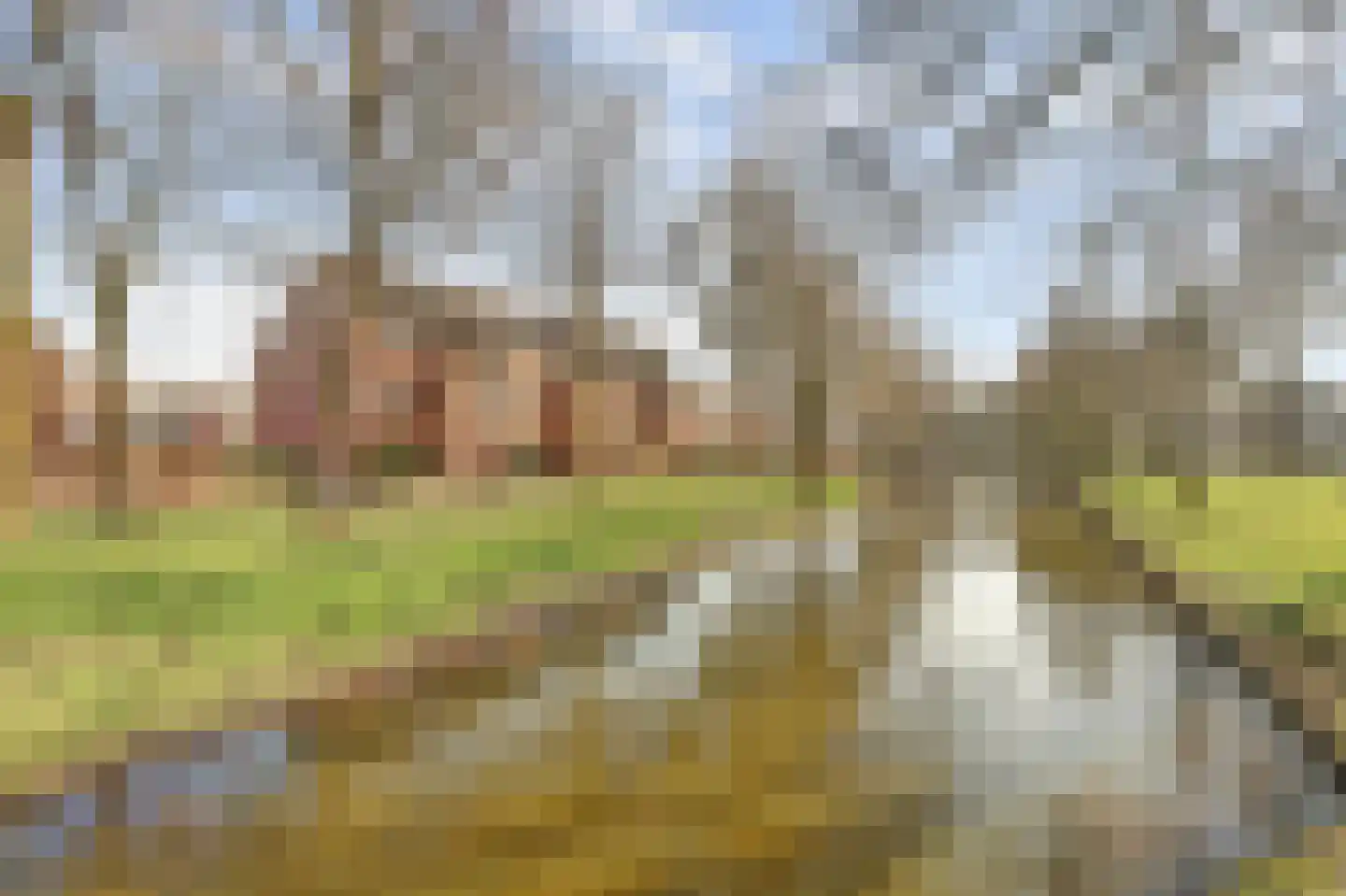 Mispelgaarde 33 Nieuwegein thumbnail 41