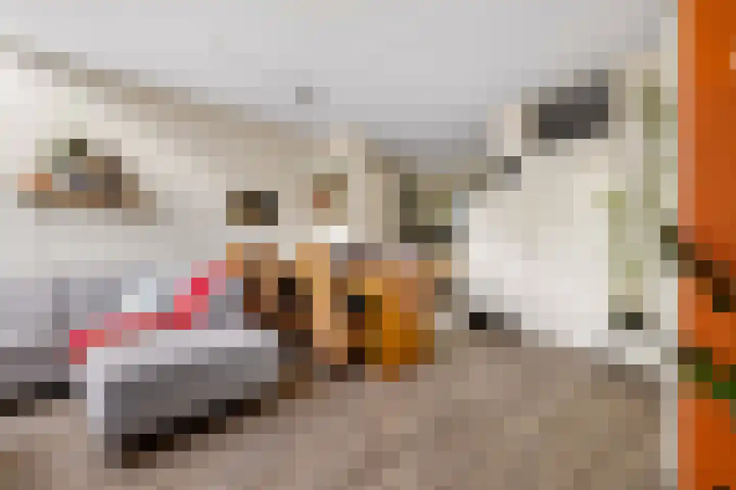 Mispelgaarde 73 Houten thumbnail 11