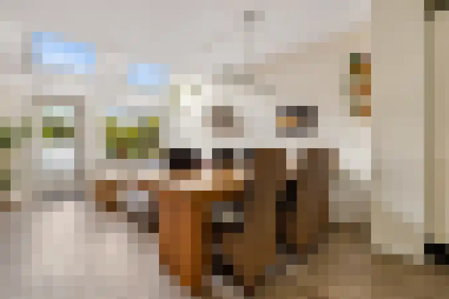Mispelgaarde 73 Houten thumbnail 12