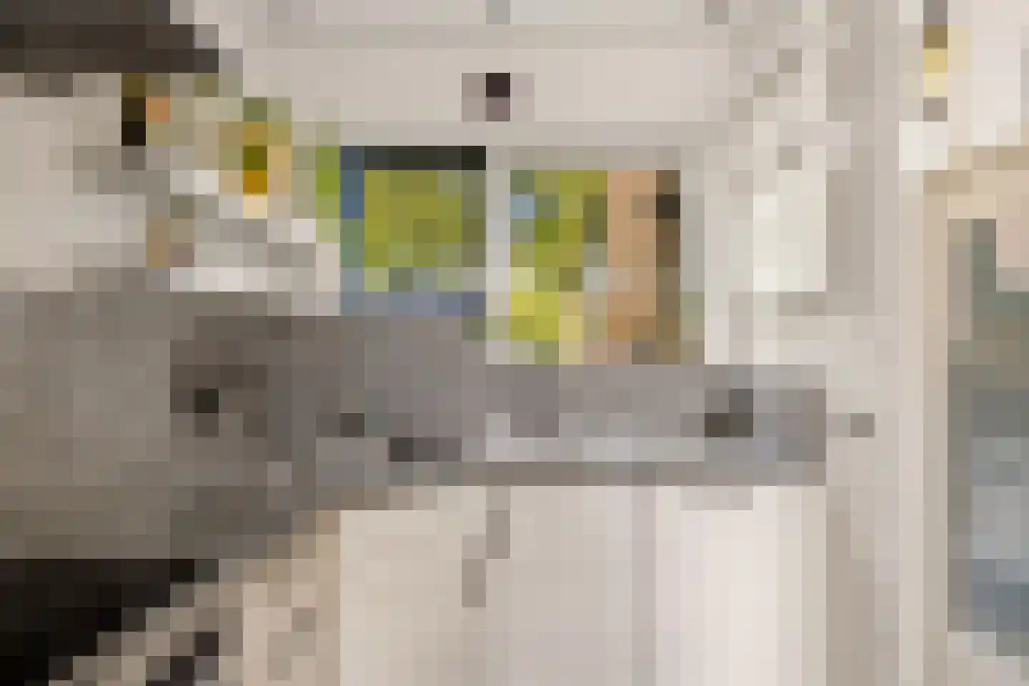 Mispelgaarde 73 Houten thumbnail 15