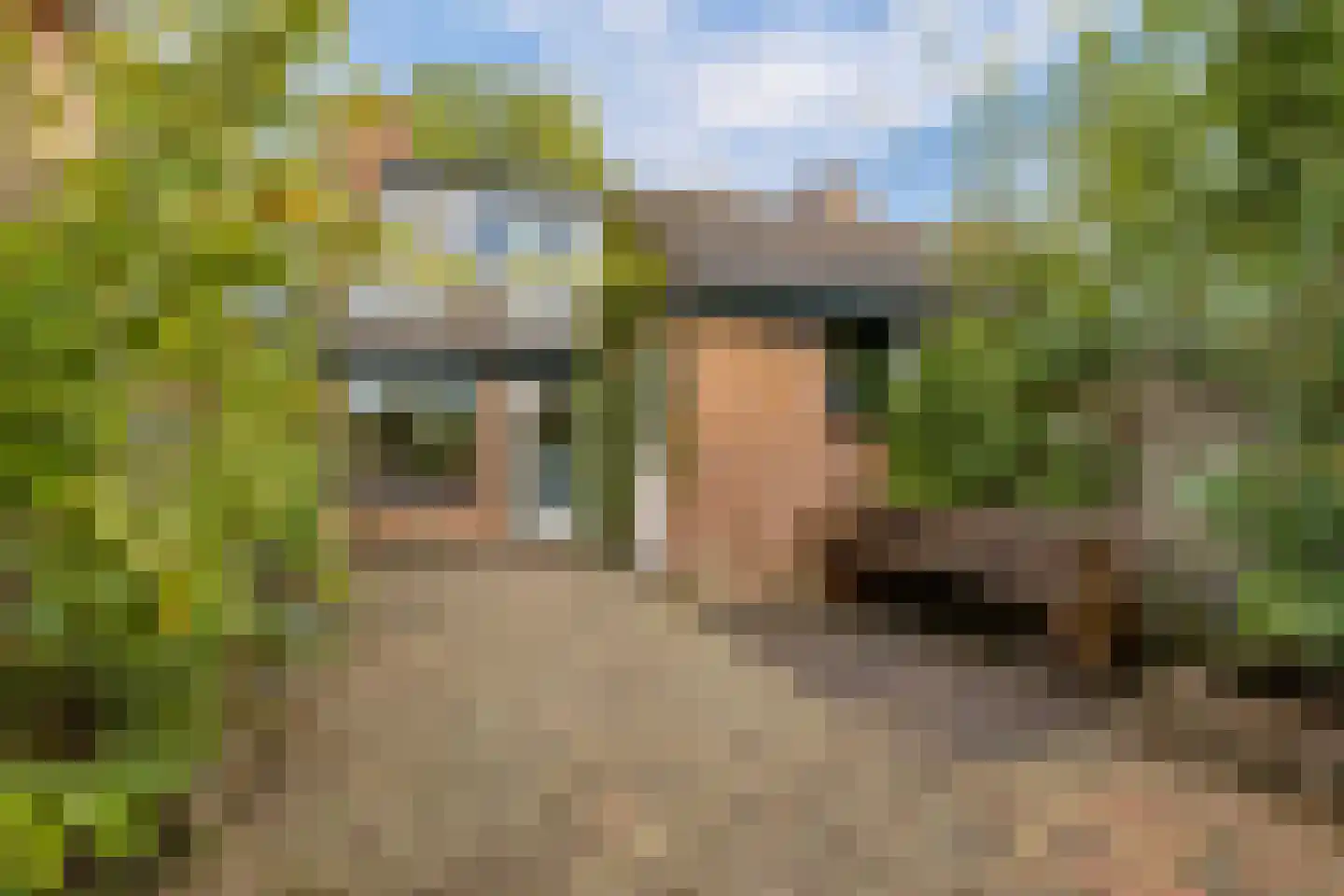 Mispelgaarde 73 Houten thumbnail 27