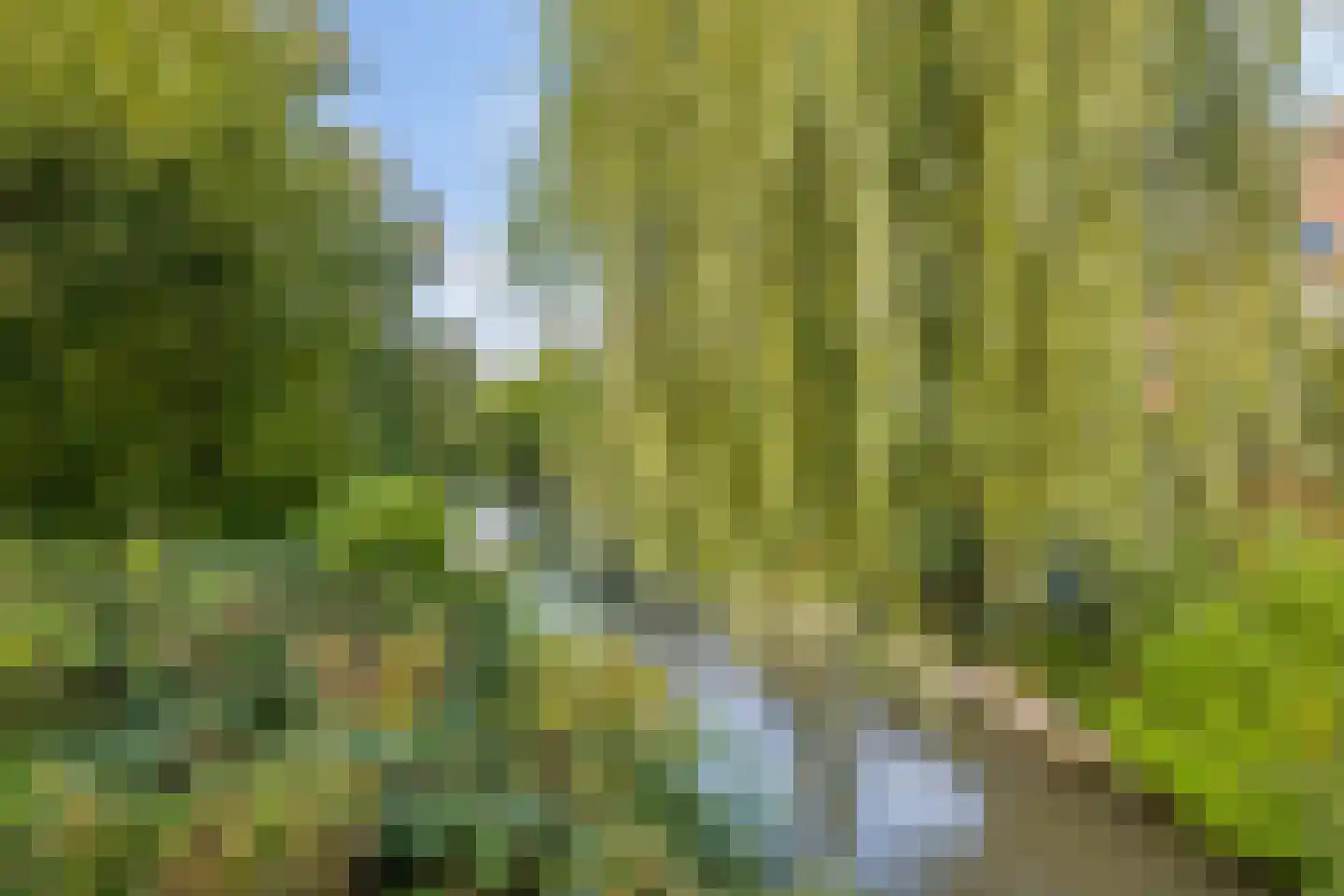 Mispelgaarde 73 Houten thumbnail 36
