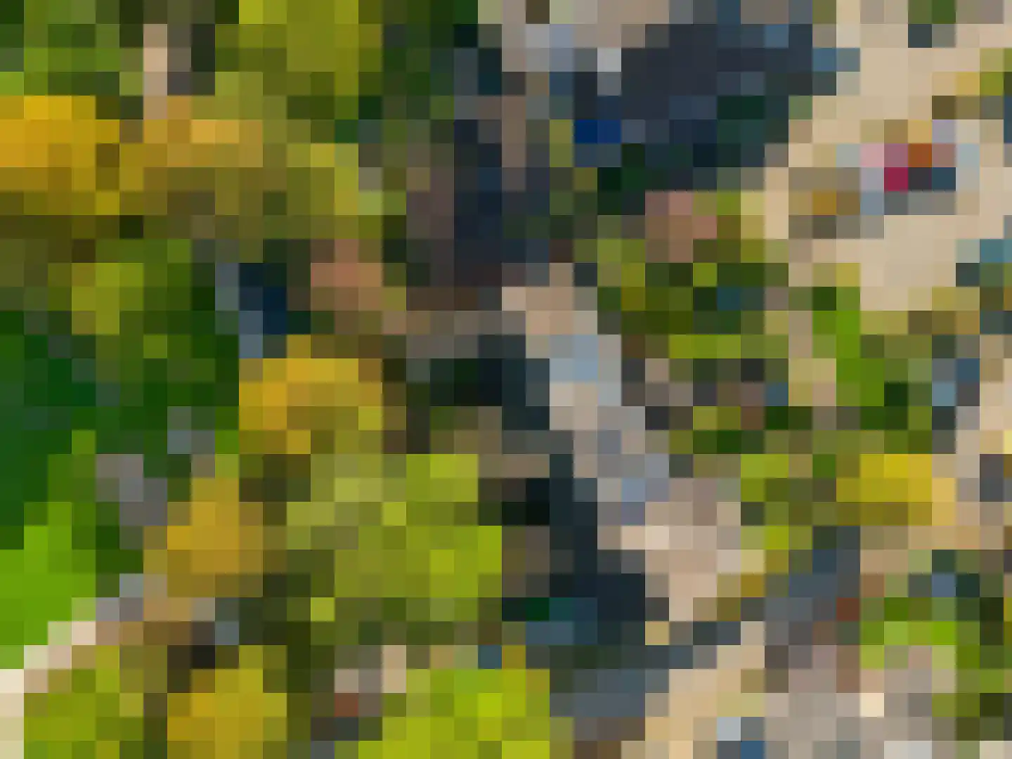 Mispelgaarde 73 Houten thumbnail 39