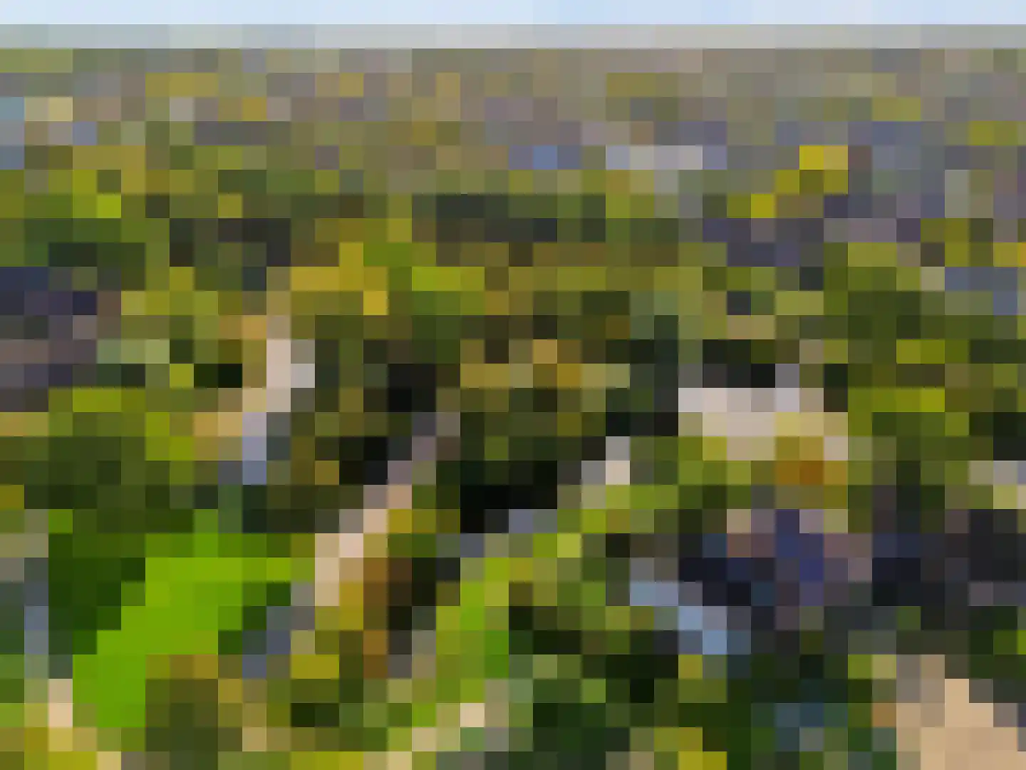 Mispelgaarde 73 Houten thumbnail 41