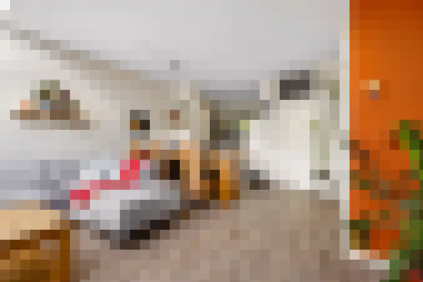 Mispelgaarde 73 Houten thumbnail 7