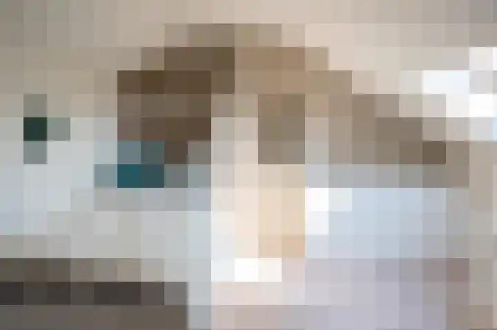 Mispelkampdijk 30 Vorden thumbnail 31