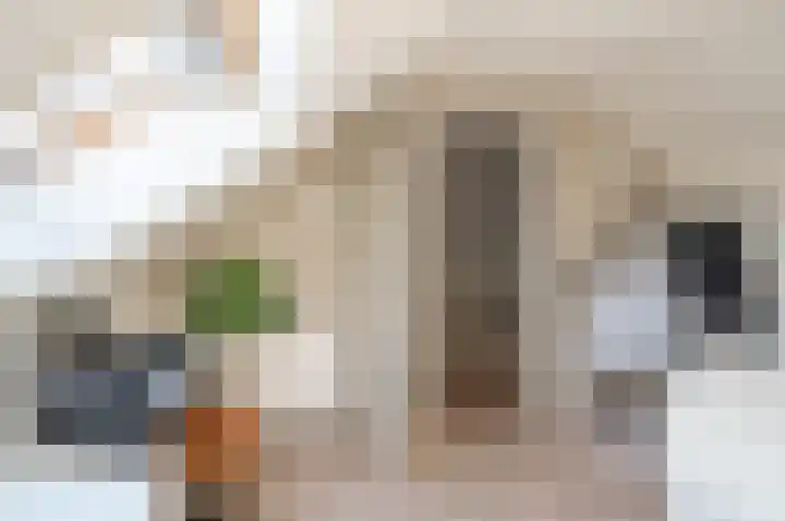 Mispelkampdijk 30 Vorden thumbnail 32