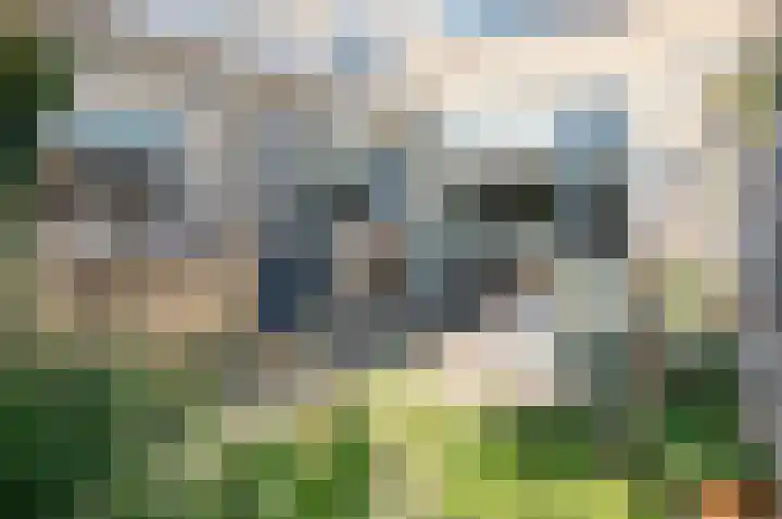 Mispelkampdijk 30 Vorden thumbnail 36