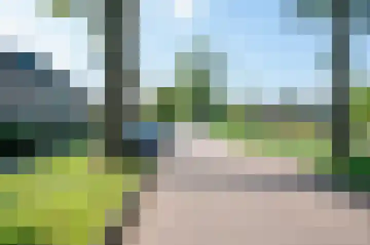 Mispelkampdijk 30 Vorden thumbnail 40