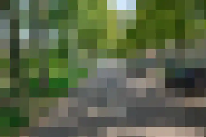 Mispelkampdijk 30 Vorden thumbnail 41