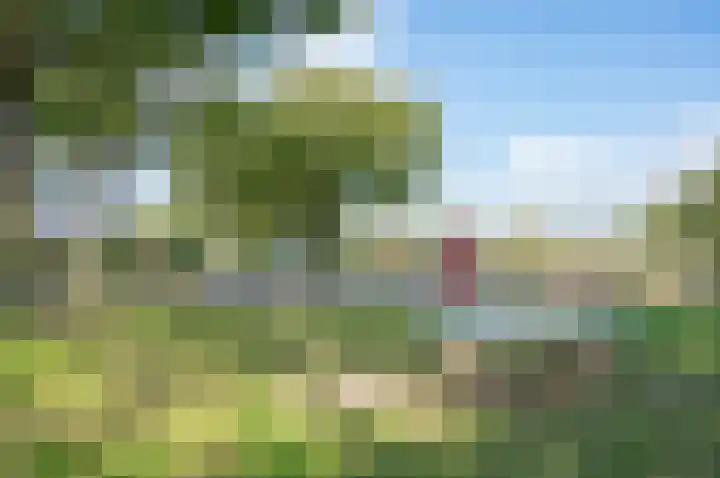 Mispelkampdijk 30 Vorden thumbnail 42