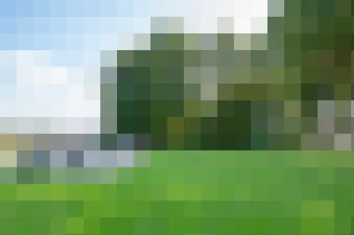 Mispelkampdijk 30 Vorden thumbnail 43