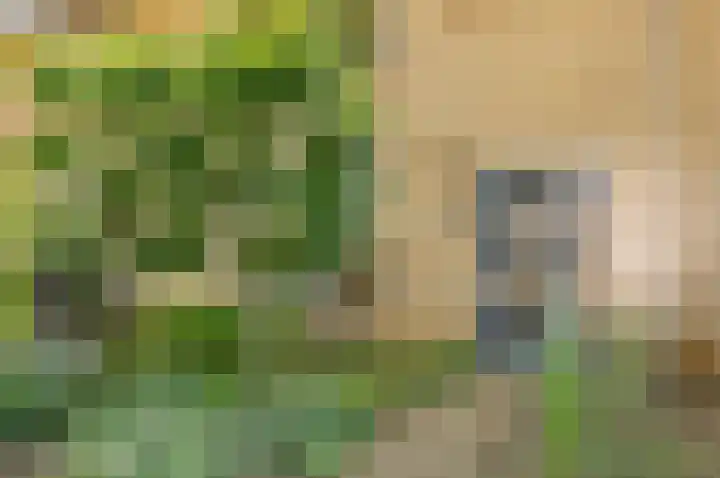 Mispelkampdijk 30 Vorden thumbnail 5