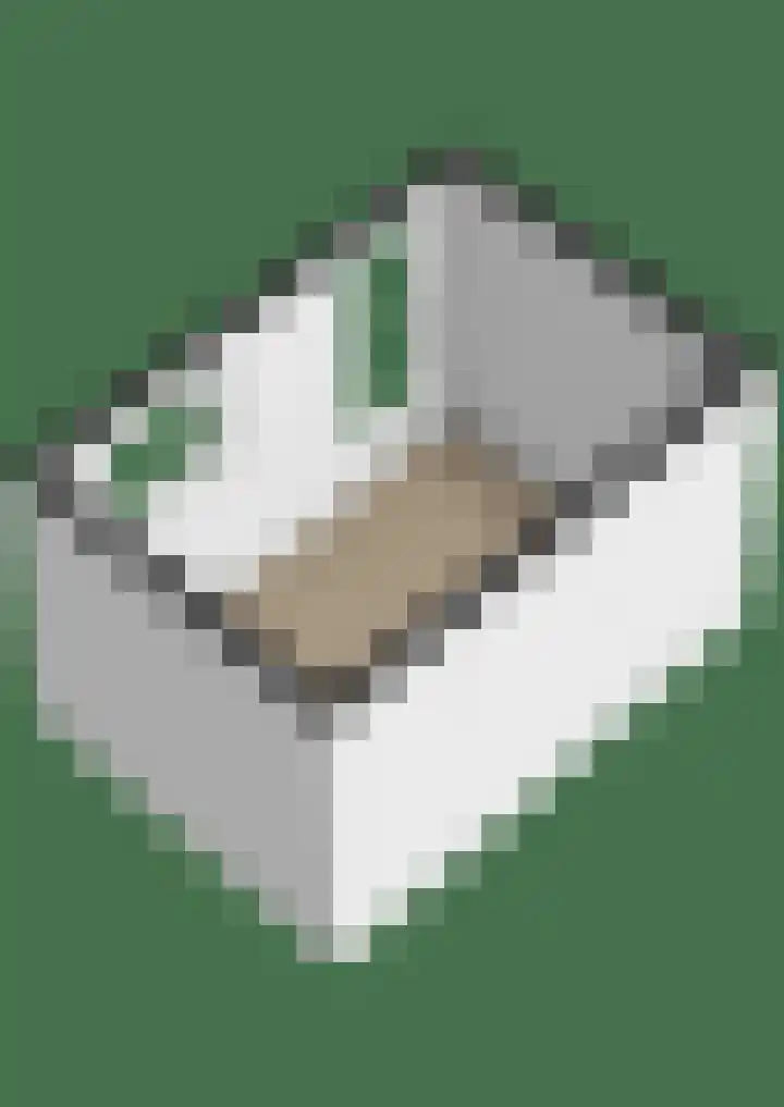 Mispelkampdijk 30 Vorden thumbnail 51