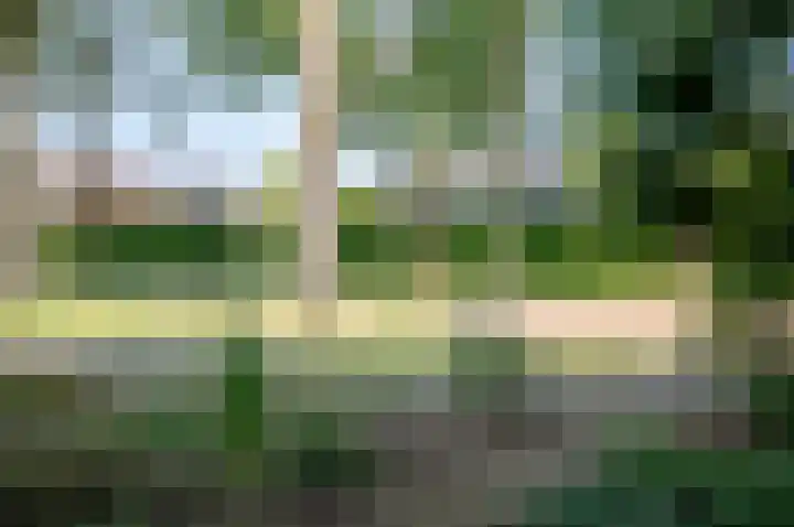 Mispelkampdijk 30 Vorden thumbnail 6
