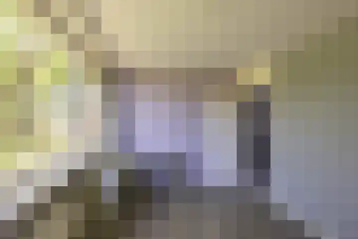 Mispellaan 11 Groningen thumbnail 25