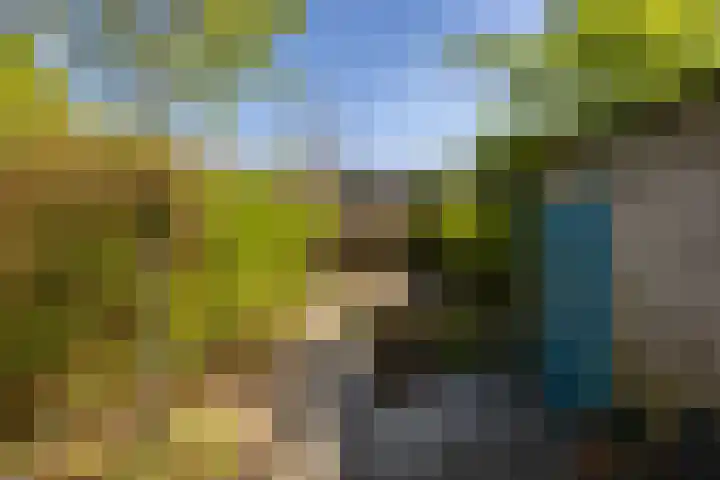 Mispellaan 11 Groningen thumbnail 34