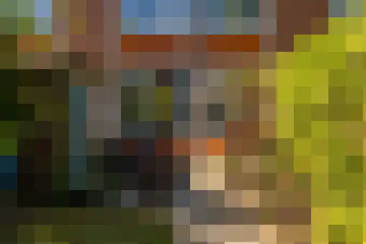 Mispellaan 11 Groningen thumbnail 36