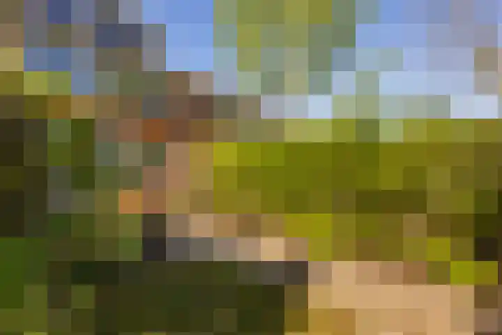 Mispellaan 11 Groningen thumbnail 37