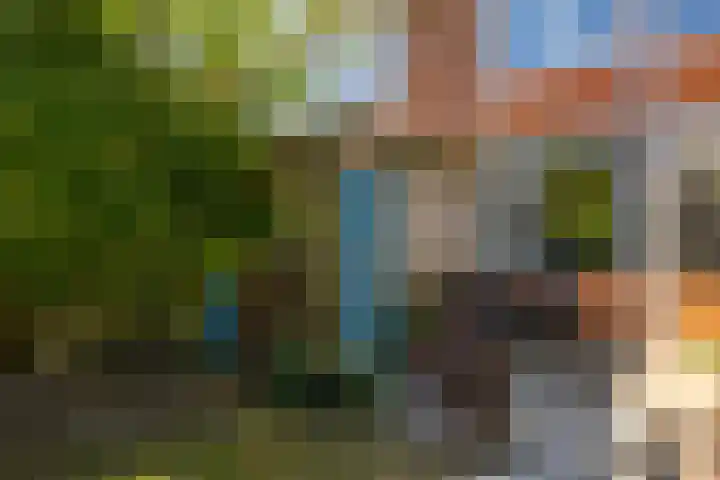 Mispellaan 11 Groningen thumbnail 38