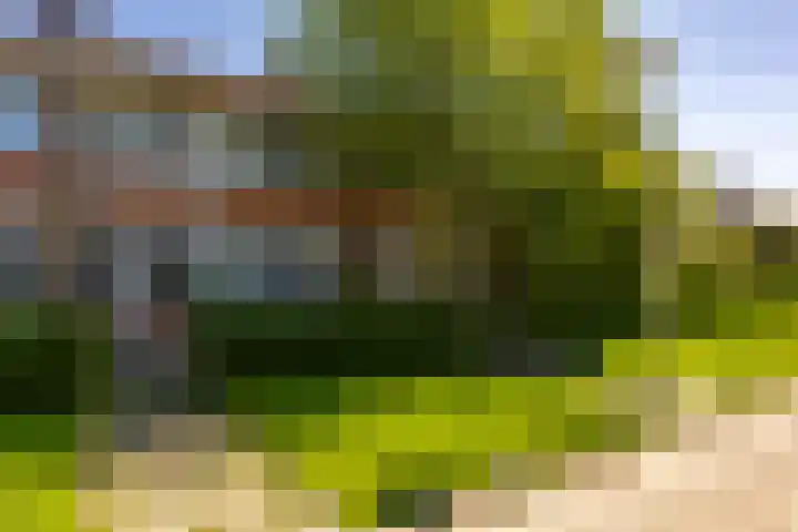Mispellaan 11 Groningen thumbnail 7