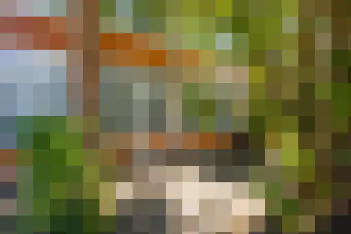 Mispellaan 11 Groningen thumbnail 8
