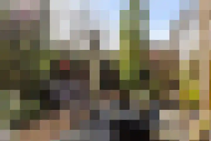 Mispellaan 28 Apeldoorn thumbnail 12