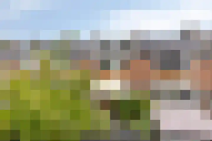 Mispellaan 31 Groningen thumbnail 32