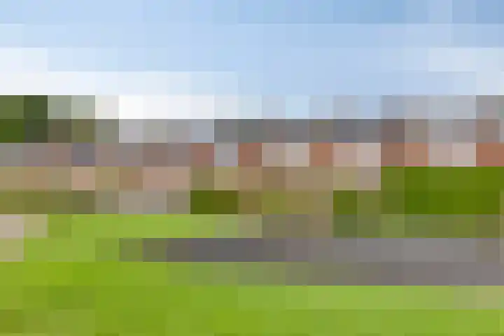 Mispellaan 31 Groningen thumbnail 34