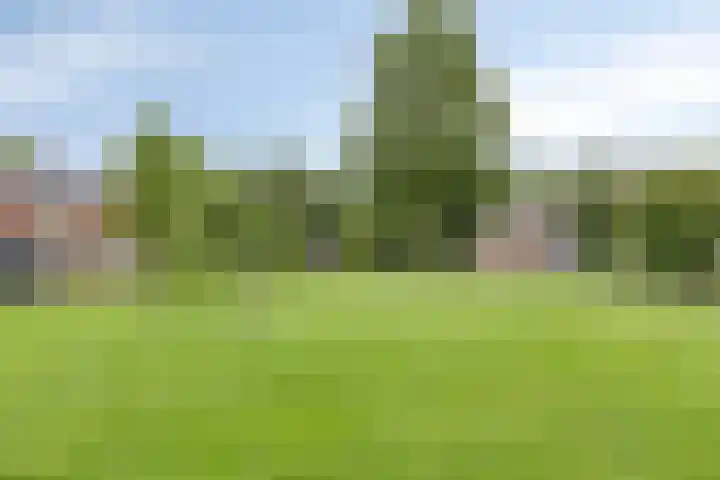 Mispellaan 31 Groningen thumbnail 35