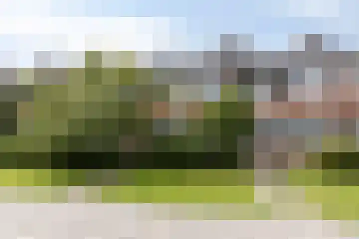 Mispellaan 31 Groningen thumbnail 5