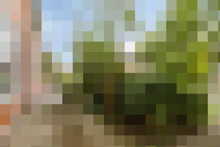 Mispellaan 31 Groningen thumbnail 7