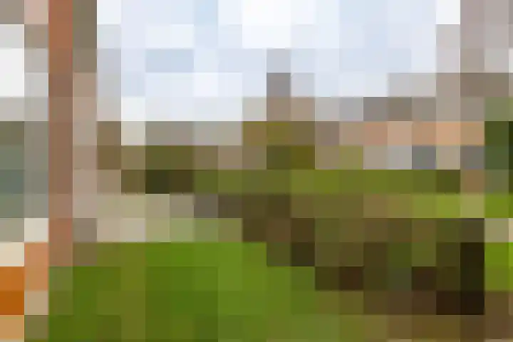 Mispellaan 35 Groningen thumbnail 39