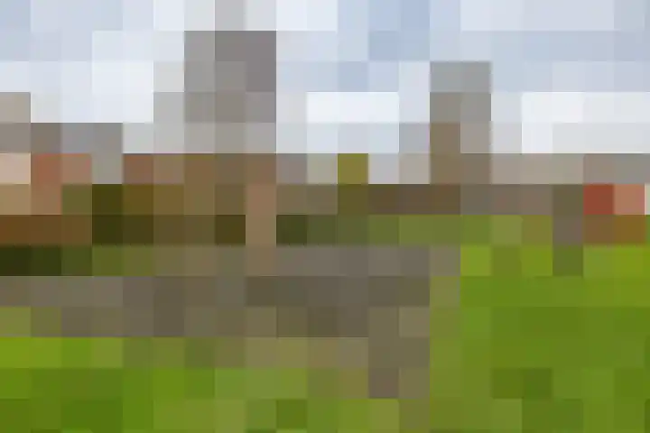 Mispellaan 35 Groningen thumbnail 40