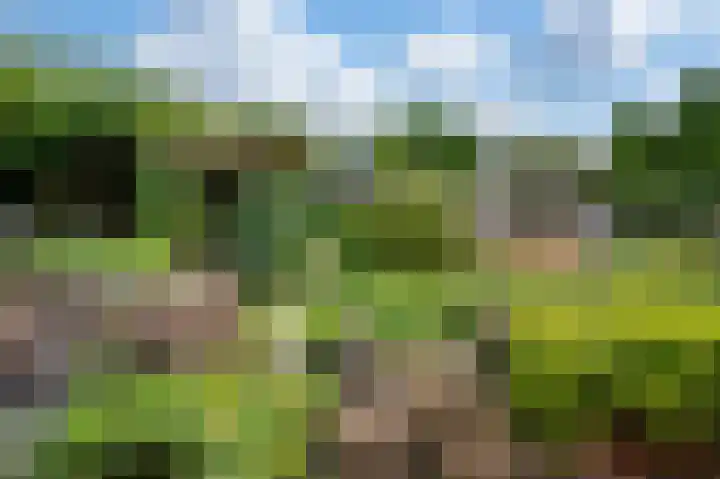 Mispellaan 48 Apeldoorn thumbnail 22