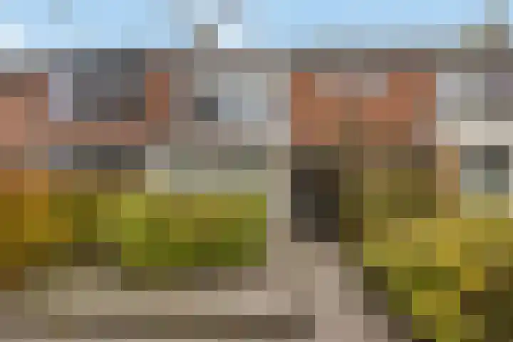 Mispelstraat 5 Dorst