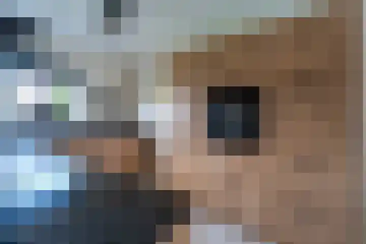 Mispelstraat 6 Rockanje thumbnail 14