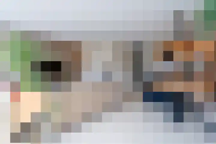 Mispelstraat 6 Rockanje thumbnail 16
