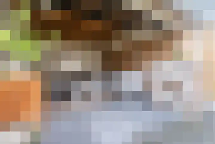 Mispelstraat 6 Rockanje thumbnail 24