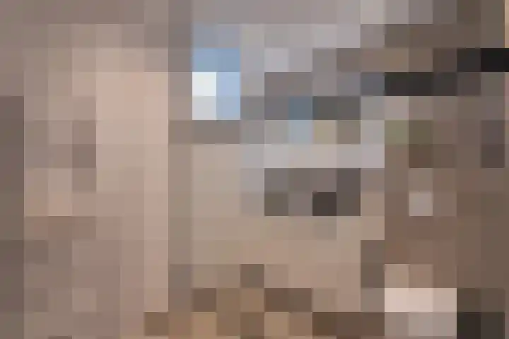 Mispelstraat 6 Rockanje thumbnail 30