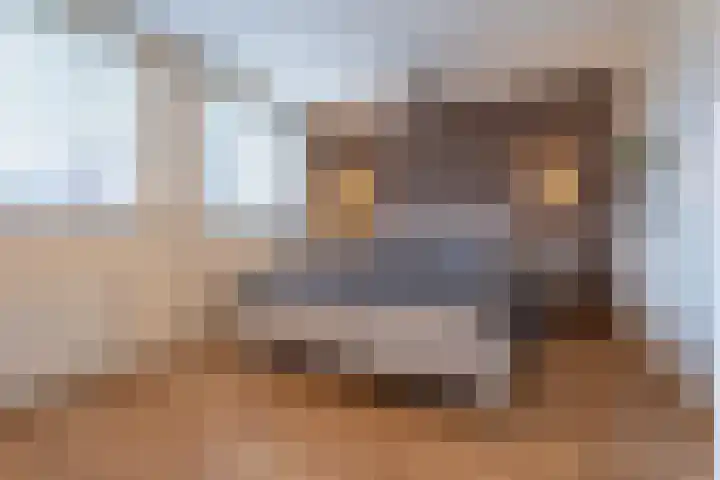 Mispelstraat 6 Rockanje thumbnail 32