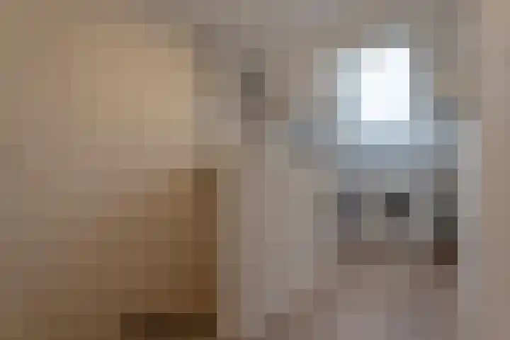 Mispelstraat 6 Rockanje thumbnail 37